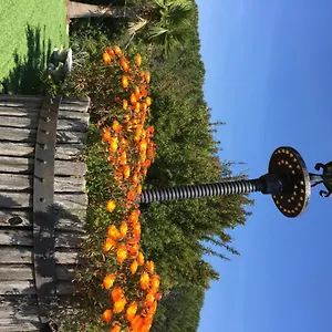 Domaine Du Mas De Peyres , Cavalaire-sur-Mer Frankreich